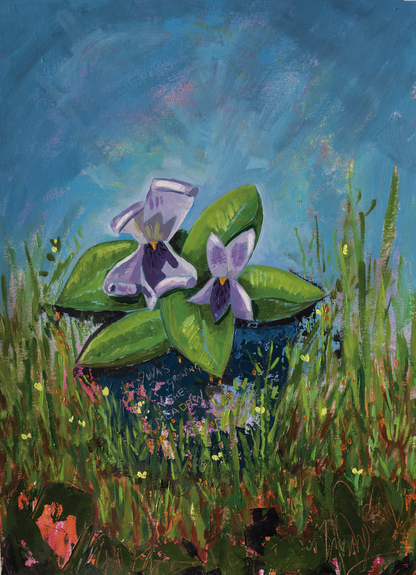 The Violet